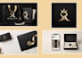 premium brand identity with logo and guidelines